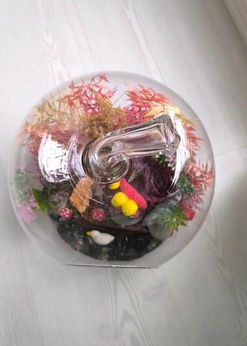 Renkli Cam Elma Teraryum Dekorasyonu - Görsel 2