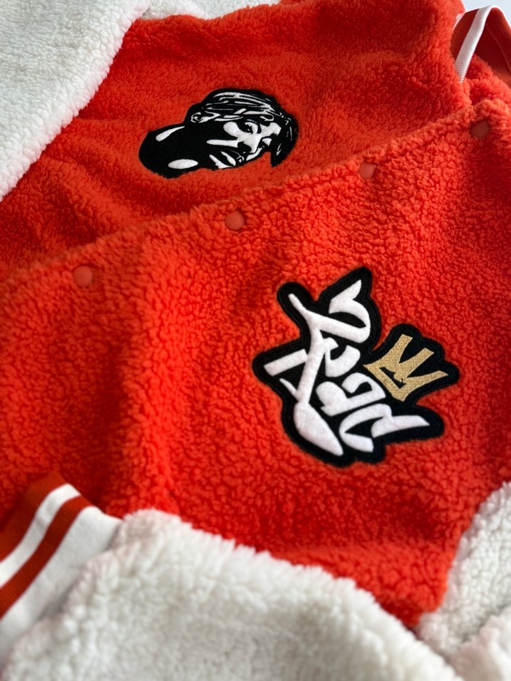 Renkli Baskılı Erkek Puf Detaylı Polar Mont - Görsel 5