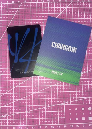  Beden Renk Changbin hop pc orj