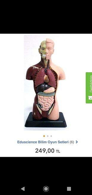 eduscience bilim oyun,insan anatomisi