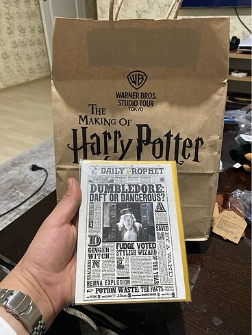  Beden Renk Harry Potter Poster Orijinal Üründür