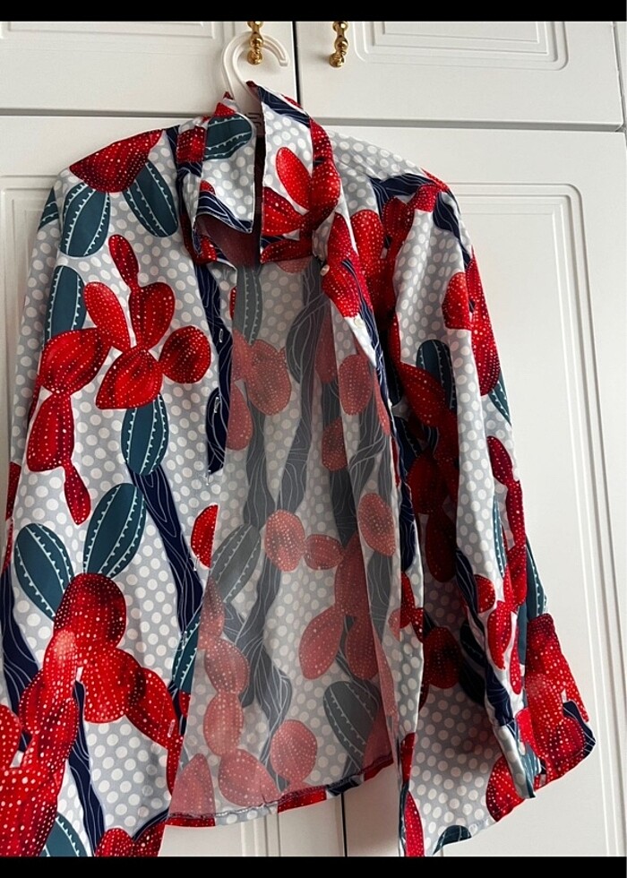 Renkli gömlek - Görsel 2