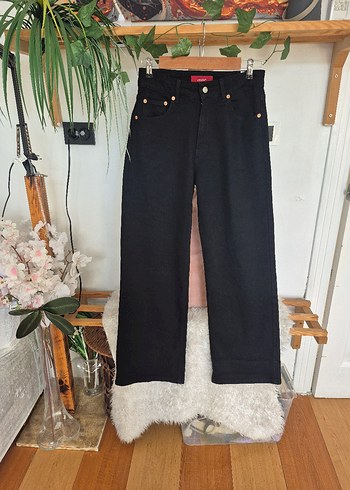 Levis Siyah Kadin Normcore Kot Pantolon
