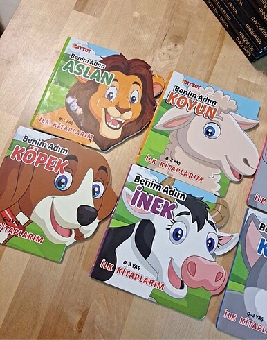 Dıytoy kitap