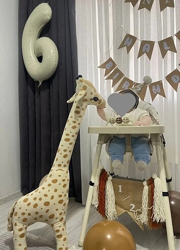 Half birthday 6 aylık çekimi parti malzemeleri  - Görsel 4