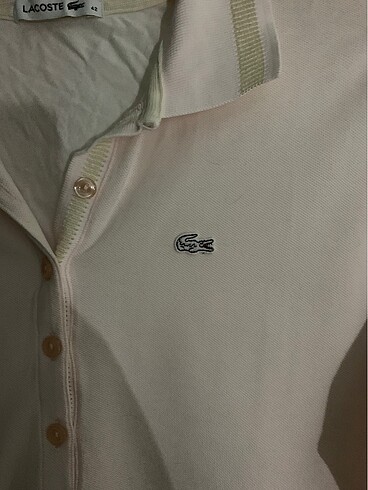 Lacoste Lacoste Üst