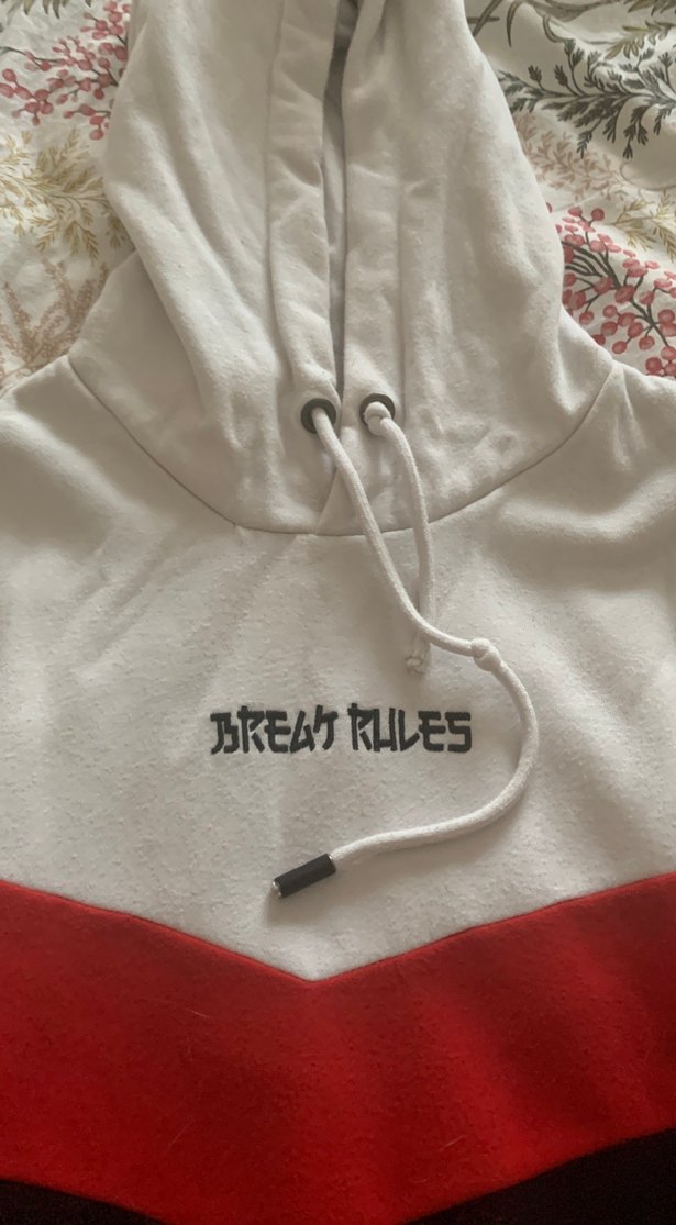 Renkli Kapüşonlu Fermuarlı Kadın Sweatshirt - Görsel 2