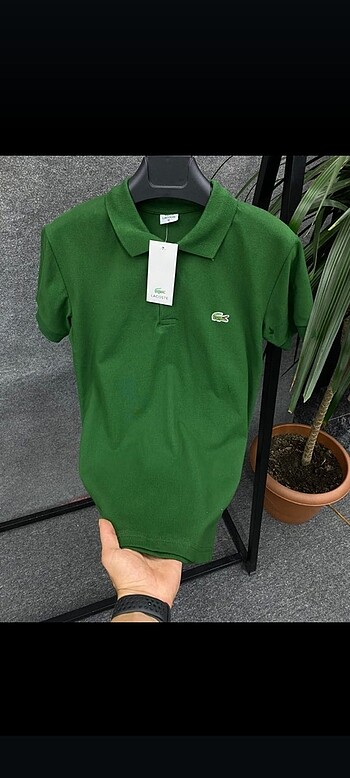 xl Beden çeşitli Renk Sıfır ithal kalite lacoste polo yaka