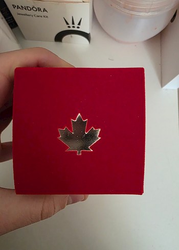 ORJINALDsquared2 Red Wood Kadın Parfümü - Görsel 2