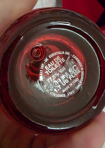 ORJINALDsquared2 Red Wood Kadın Parfümü - Görsel 9