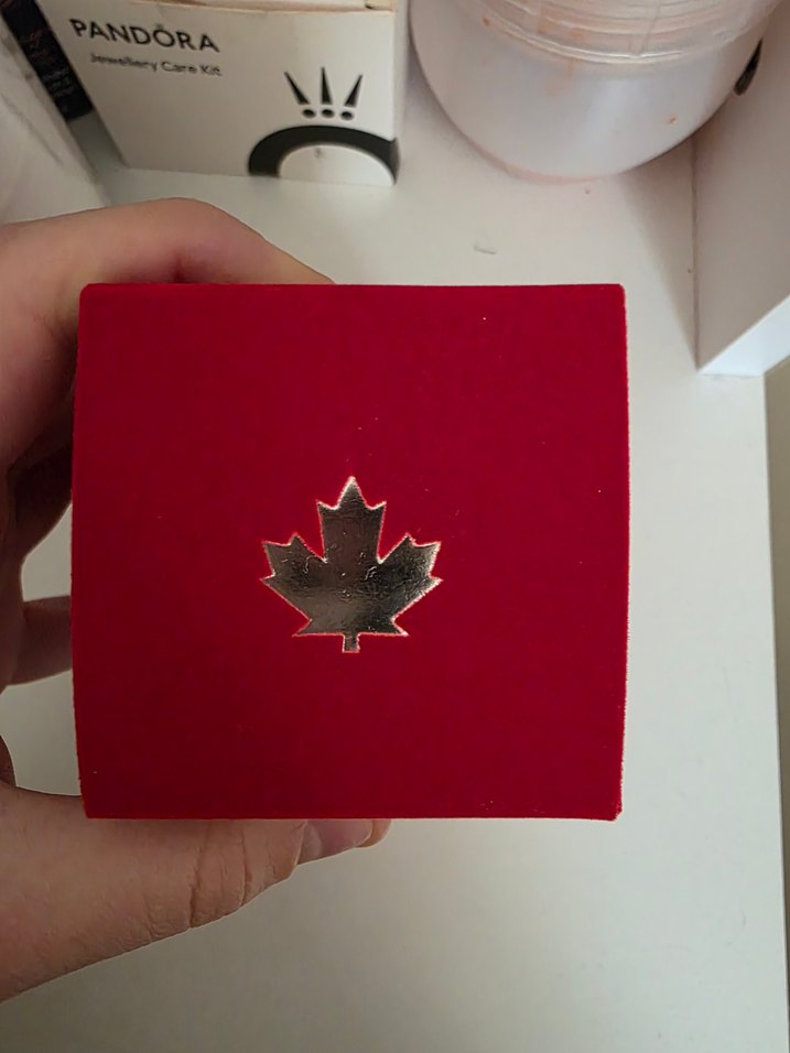 ORJINALDsquared2 Red Wood Kadın Parfümü - Görsel 2