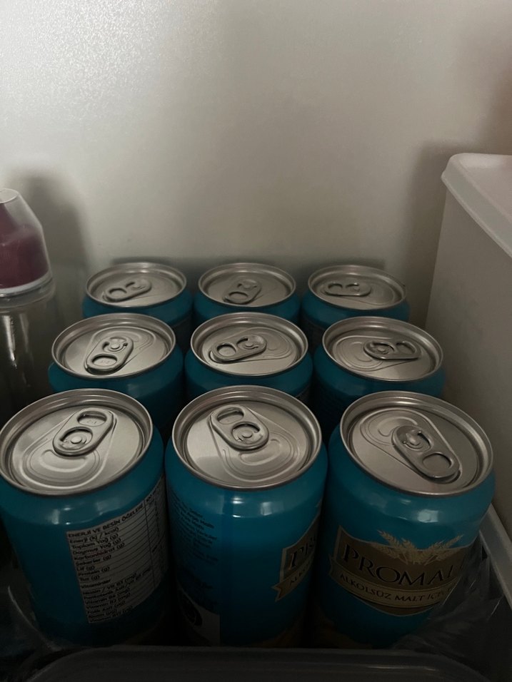 Promalt Alkolsüz Malt İçeceği 330 mL - Görsel 4