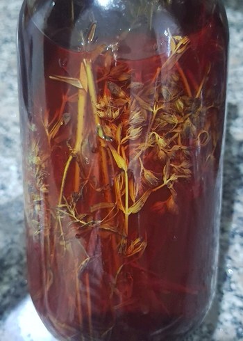 Parlak Kırmızı renkte kantaron yağı - Görsel 2