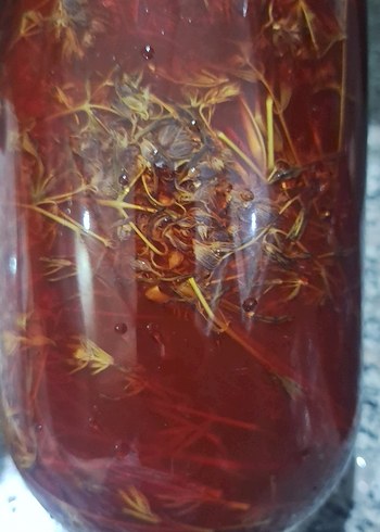 Parlak Kırmızı renkte kantaron yağı - Görsel 3