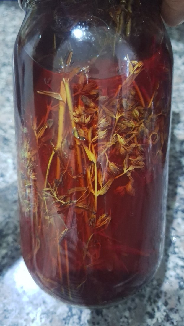 Parlak Kırmızı renkte kantaron yağı - Görsel 2