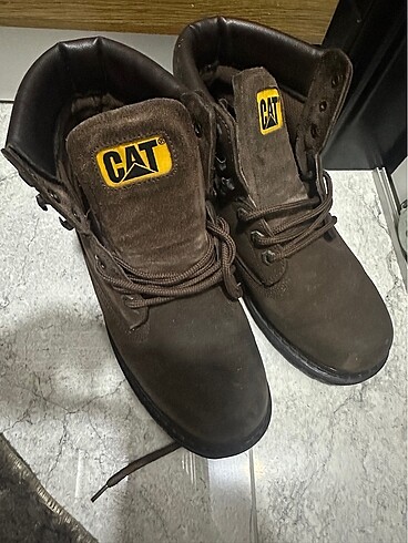 Cat bot