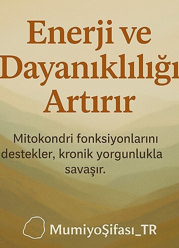 ALTAY VE HİMALAYA DAĞLARİNDAN DOĞAL MUMİYO(SHİLAJİT) TÜRKİYE'DE - Görsel 7