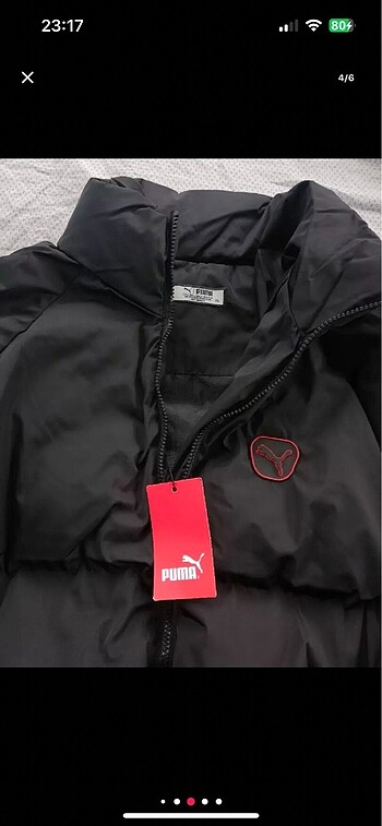 Puma Puma mont