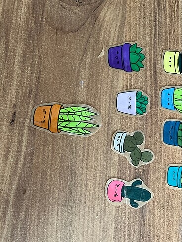  Beden Kaktüs temalı sticker seti