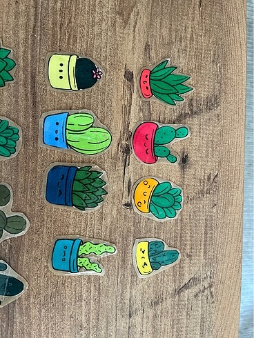  Kaktüs temalı sticker seti