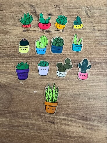  Beden Renk Kaktüs temalı sticker seti