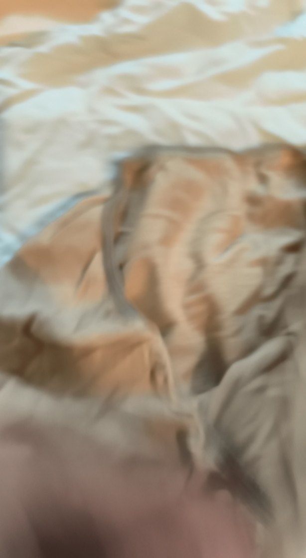 Bej hamile alt çamaşır 4 parça - Görsel 3