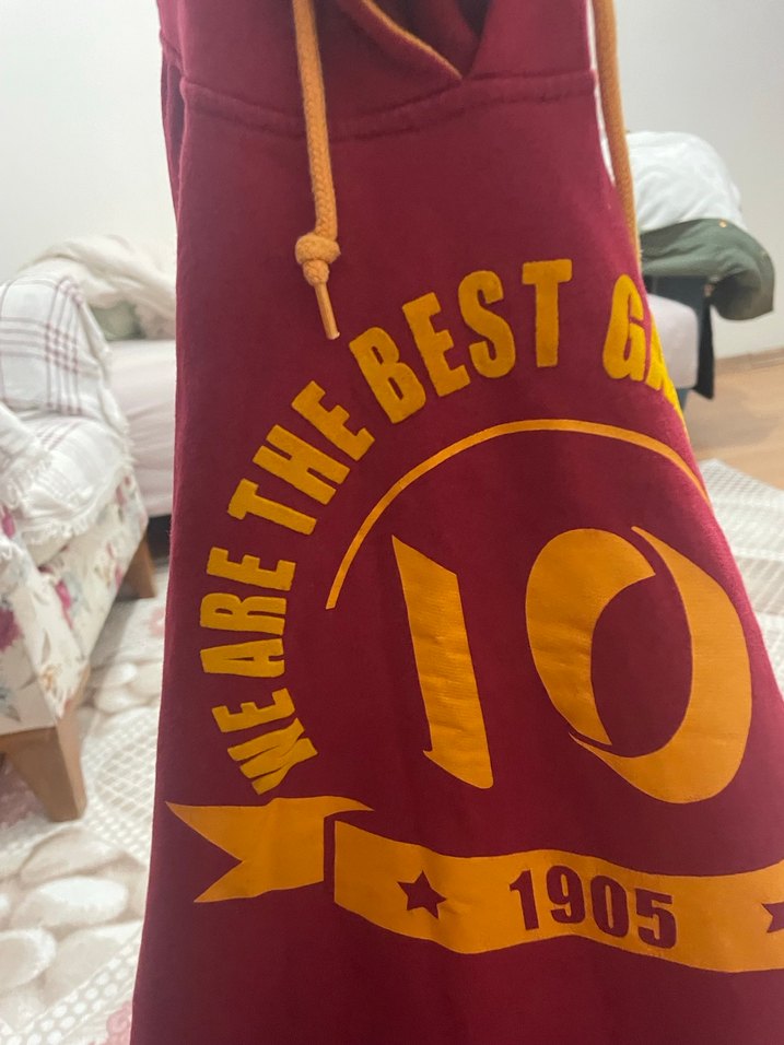 Bordo Erkek Sweatshirt Kapüşonlu Baskılı - Görsel 3