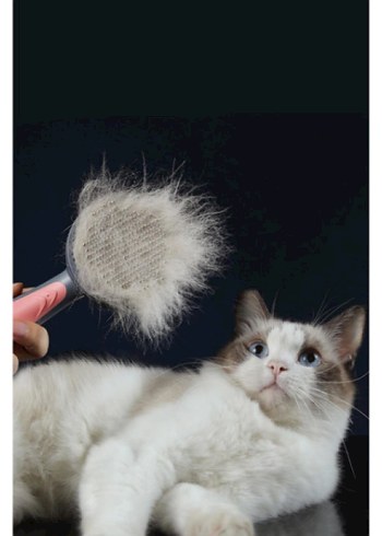 Otomatik Temizlenen Kedi Köpek Tarağı - Görsel 3