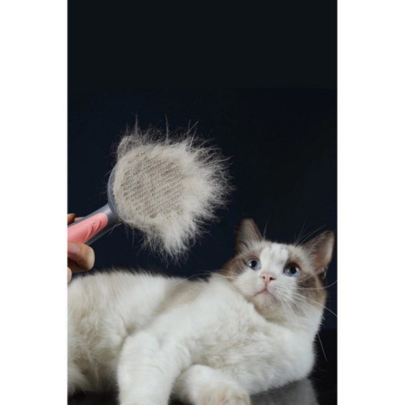 Otomatik Temizlenen Kedi Köpek Tarağı - Görsel 3