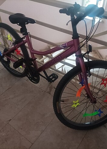 Peugeot Bordo Bisiklet 24 Jant 