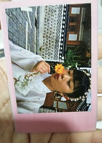 njz hanni pc/polaroid