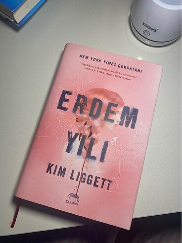ERDEM YILI