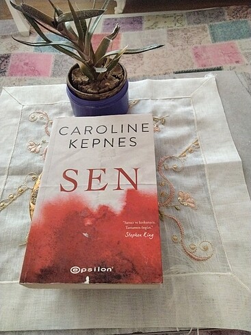Sen Caroline Kepnes 