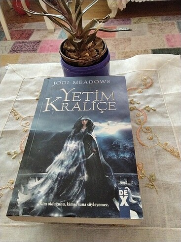 Yetim kraliçe Jodi Meadows 