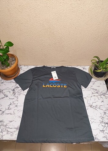 xxl Beden LACOSTE T-SHİRT 