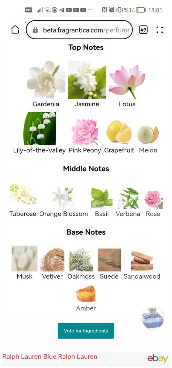 Ralph Lauren Blue edt 30 ml - Görsel 5