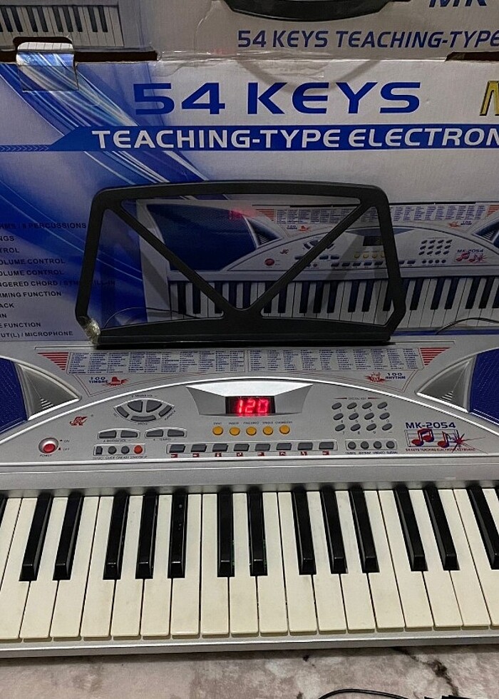 Elektronik ORG - Görsel 2