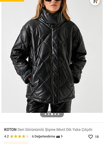 Koton mont