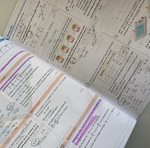 Beden Renk Problem Test Kitabi