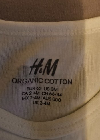 Uzun Kollu Yeşil Bebek Body - Görsel 2