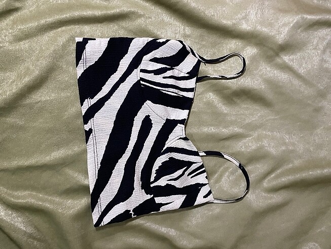 Zebra cepi