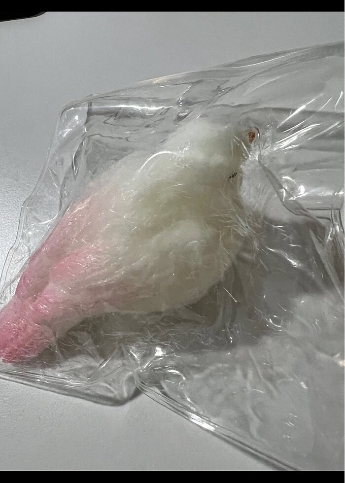 Kuş sukuşi - Görsel 2