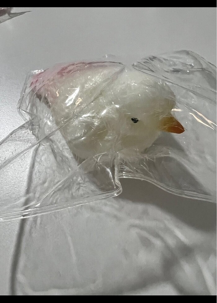 Kuş sukuşi - Görsel 3