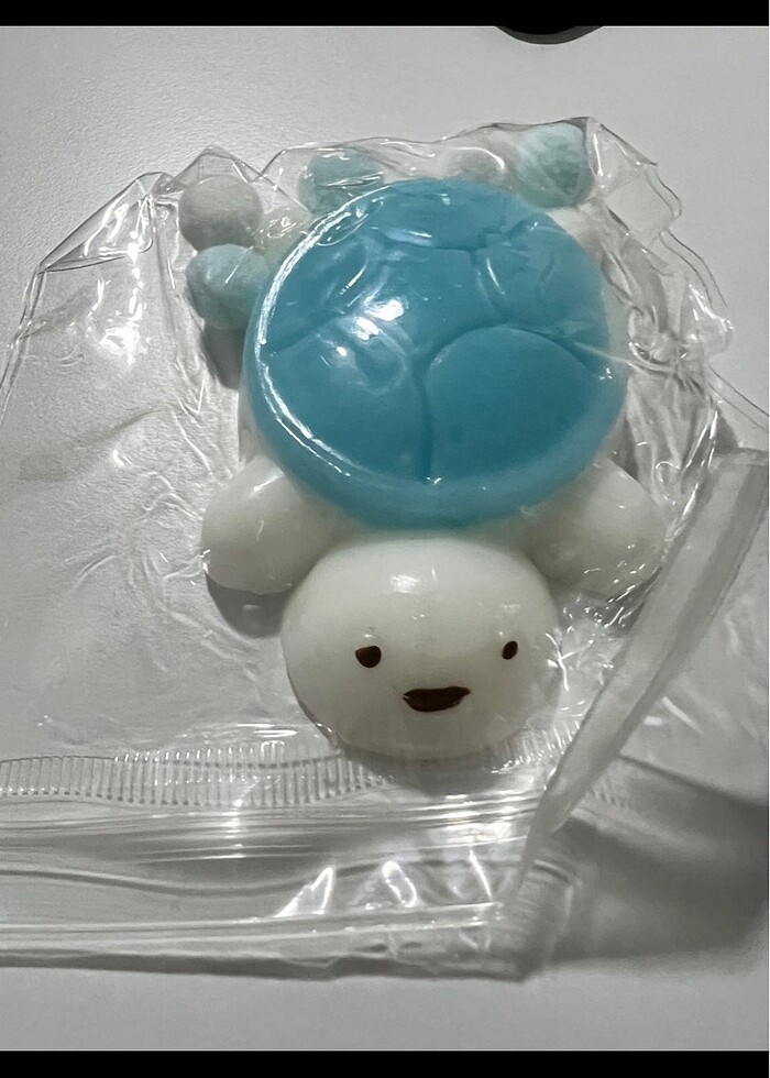 Kaplumbağa sukuşi - Görsel 2