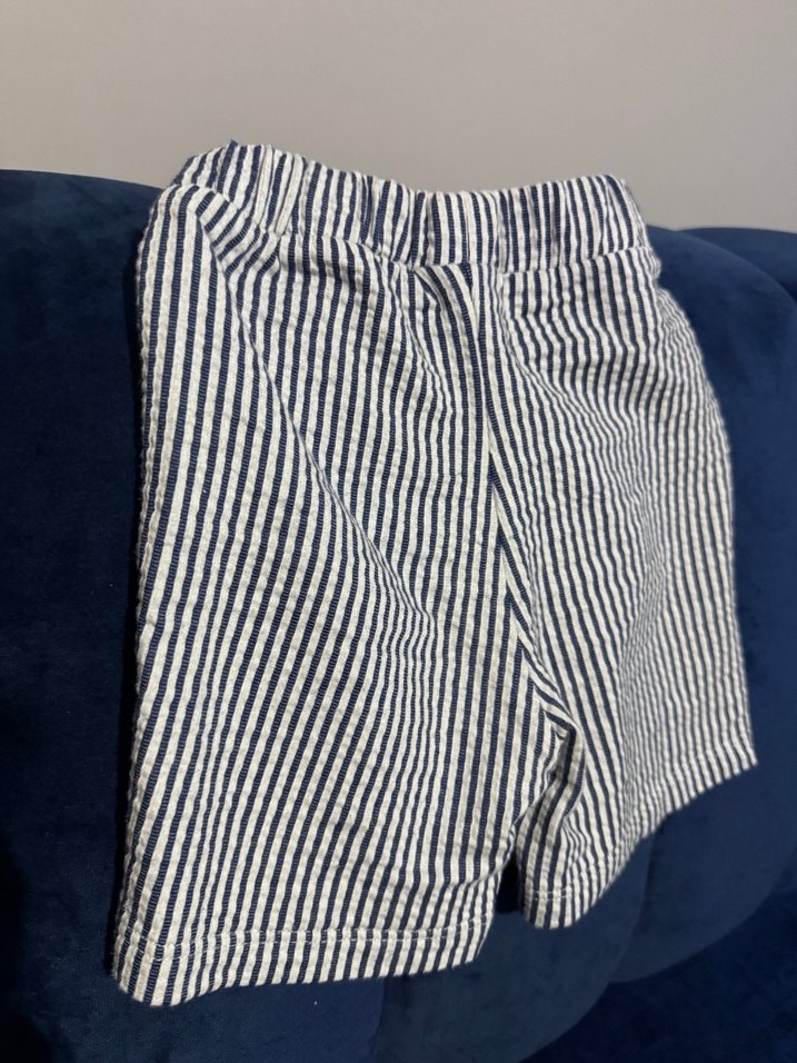 Çizgili Koyu Mavi Erkek Şort - Görsel 4