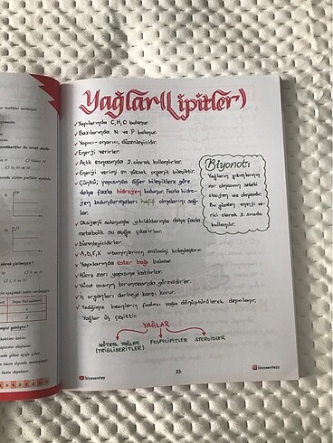  Beden Tyt biyoloji BİYOSENTEZ not defteri