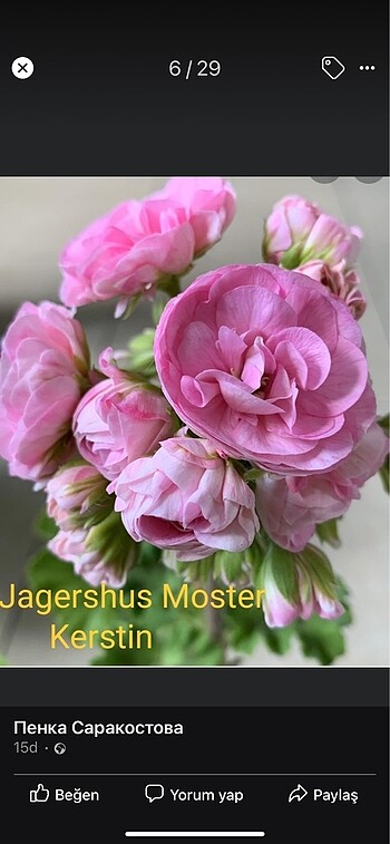 Jagershus Moster Kerstin
