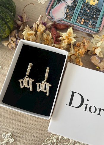 Dior Altın Renkli Mini Taşlı Küpe
