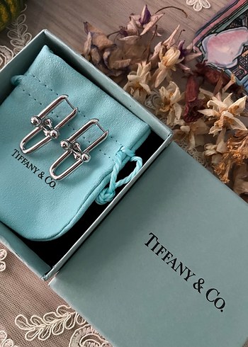  Beden Tiffany & Co. Jumbo Boy Sallantılı Küpe