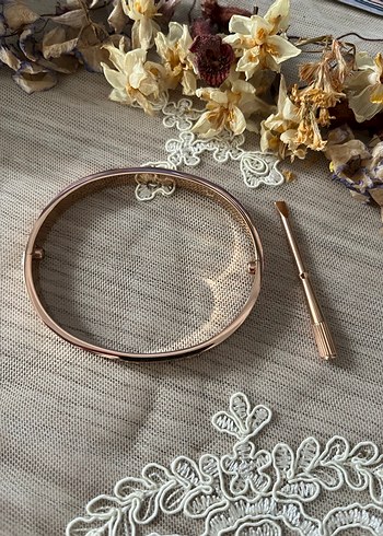 Beden Cartier Love Bilezik Rose Gold 21
